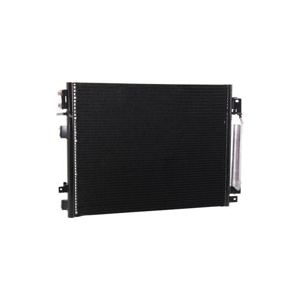 09-10 Cr 300 Condensador